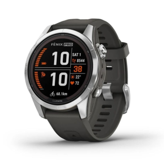 Часы Garmin Fenix 7S Pro Solar Silver 010-02776-01