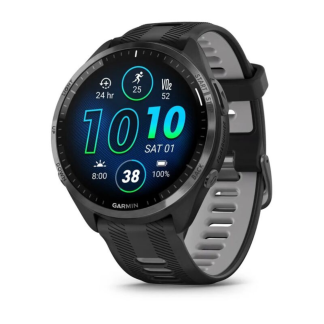 Часы Garmin Forerunner 965 Gray 010-02809-10