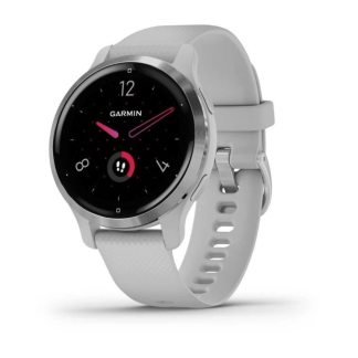 Часы Garmin Venu 2S Silver 010-02429-12