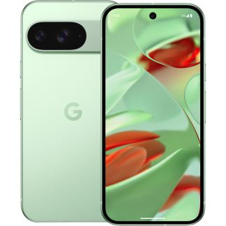 Смартфон Google Pixel 9 12/128Gb Wintergreen