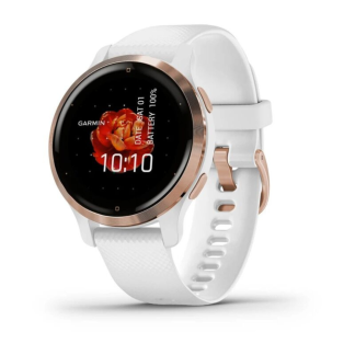 Часы Garmin Venu 2S White/Rose Gold 010-02429-13